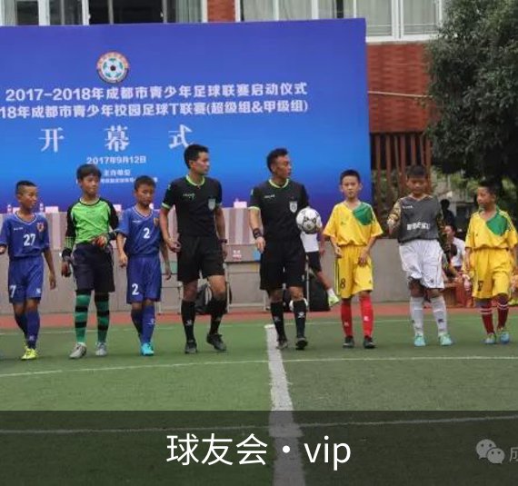 了解球友会·vip